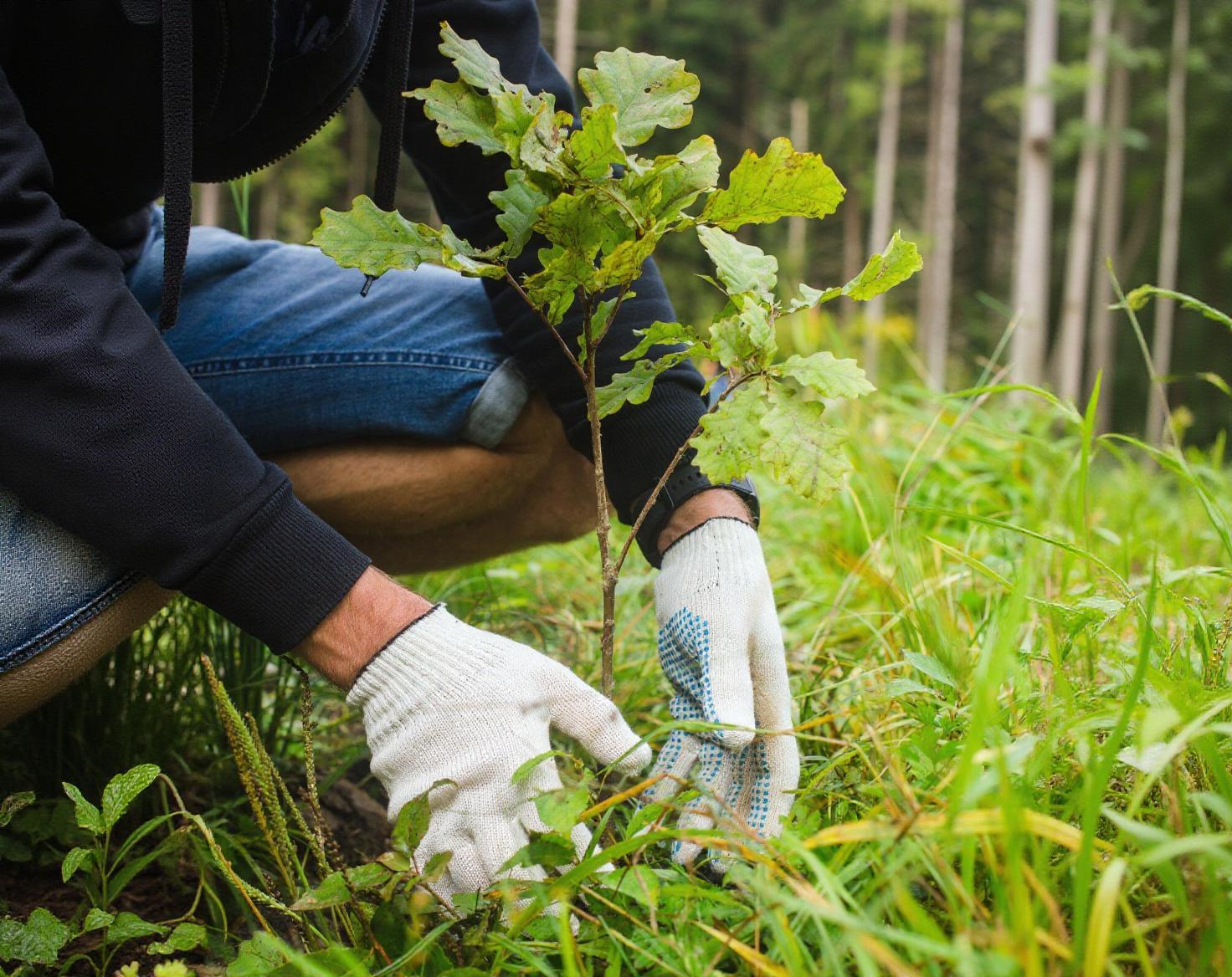 Наши преимущества